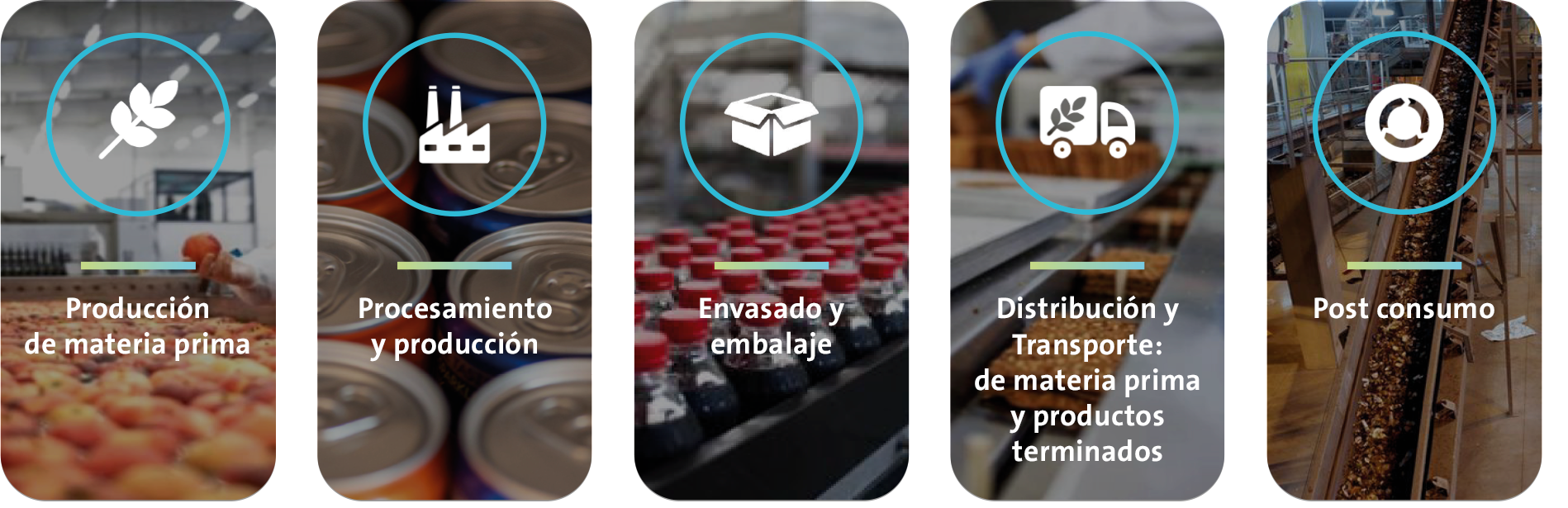 Descarbonización_iconos_alimentacion-bebidas_v2_8