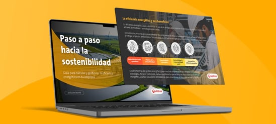 Guía paso a paso hacia la sostenibilidad
