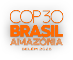 cop30 br