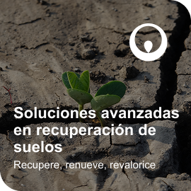 Recuperación de suelos Recuperación de suelos