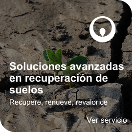 Servicio_ Recuperación de suelos Servicio_ Recuperación de suelos