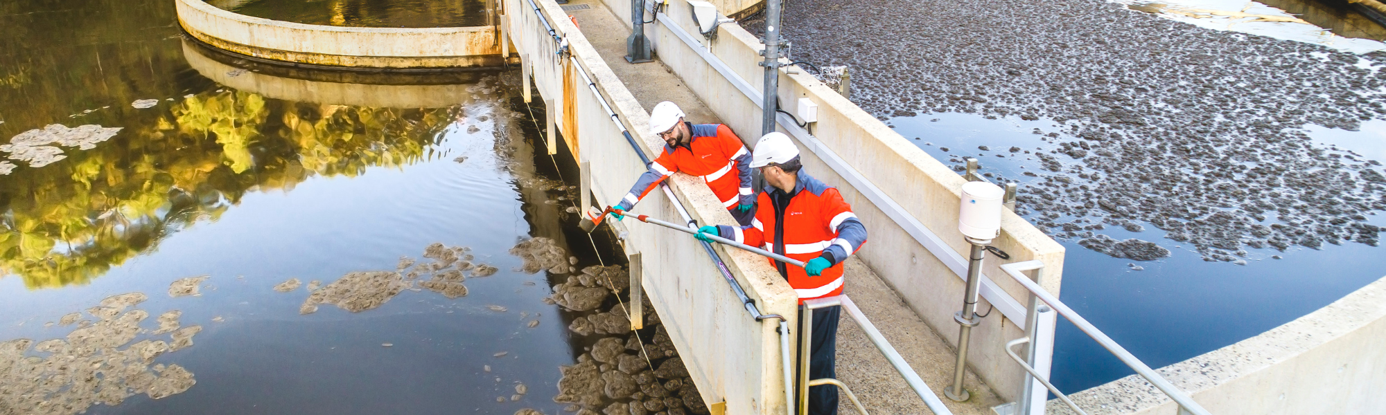 Diseño sin título (2)