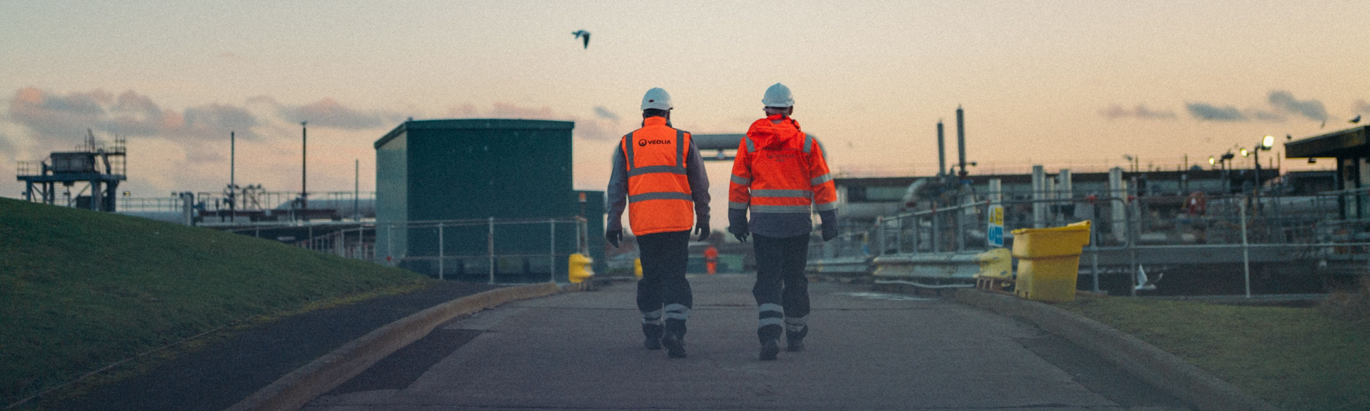 Diseño sin título (3)